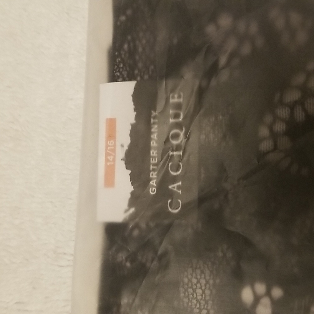 Cacique 14/16 Garter Panty - Picture 6 of 9